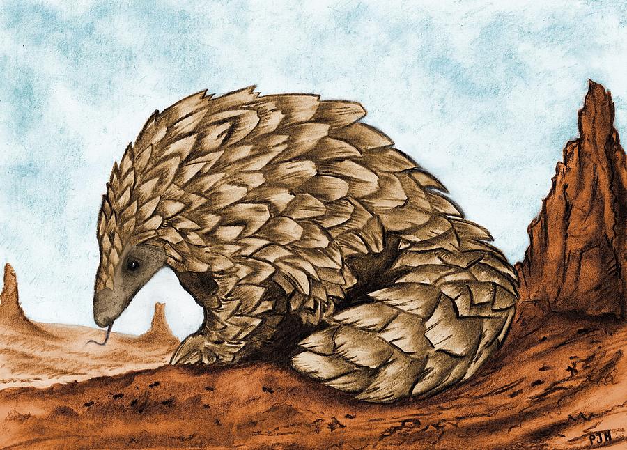 The best free Pangolin drawing images. Download from 48 free drawings