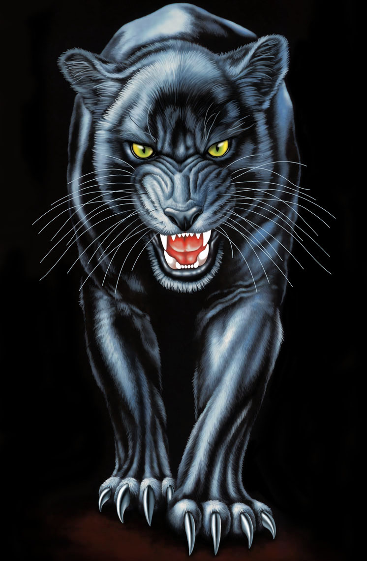 Panther Head Drawing at GetDrawings | Free download