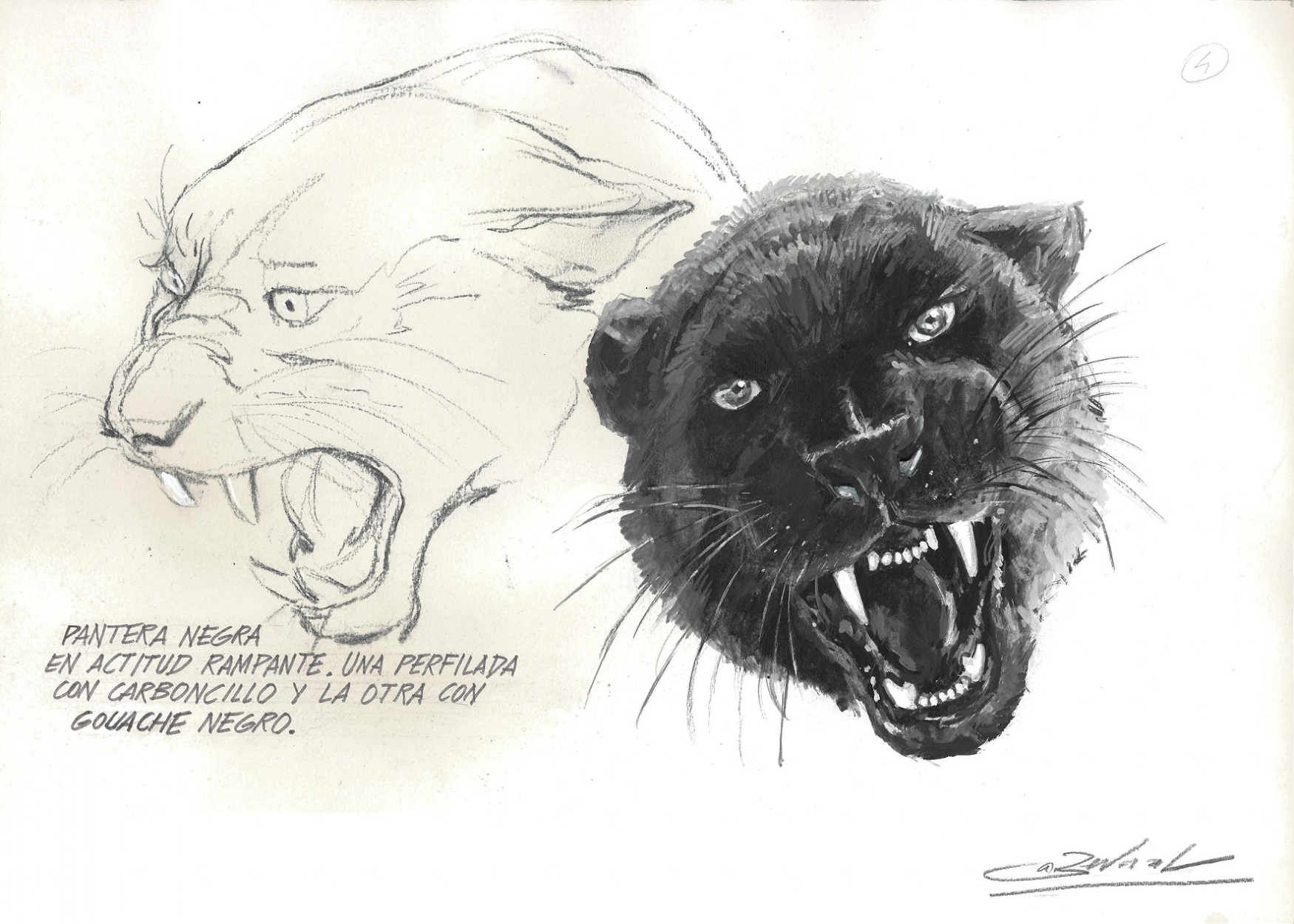 Panther Head Drawing at GetDrawings | Free download