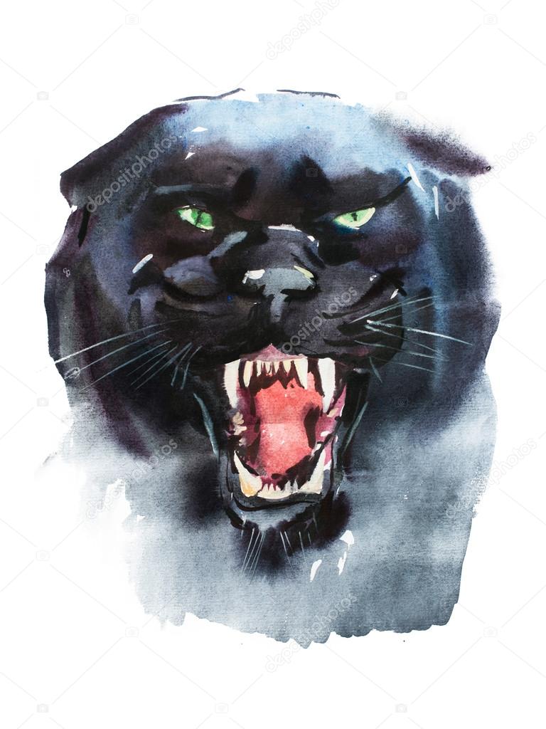 Panther Head Drawing at GetDrawings Free download