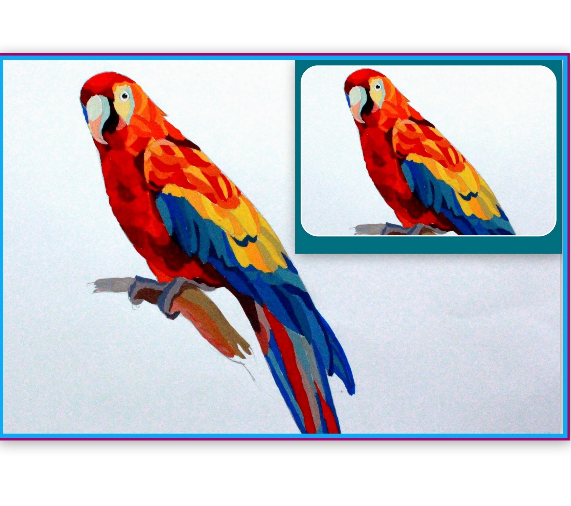 Parrot Drawing at GetDrawings Free download