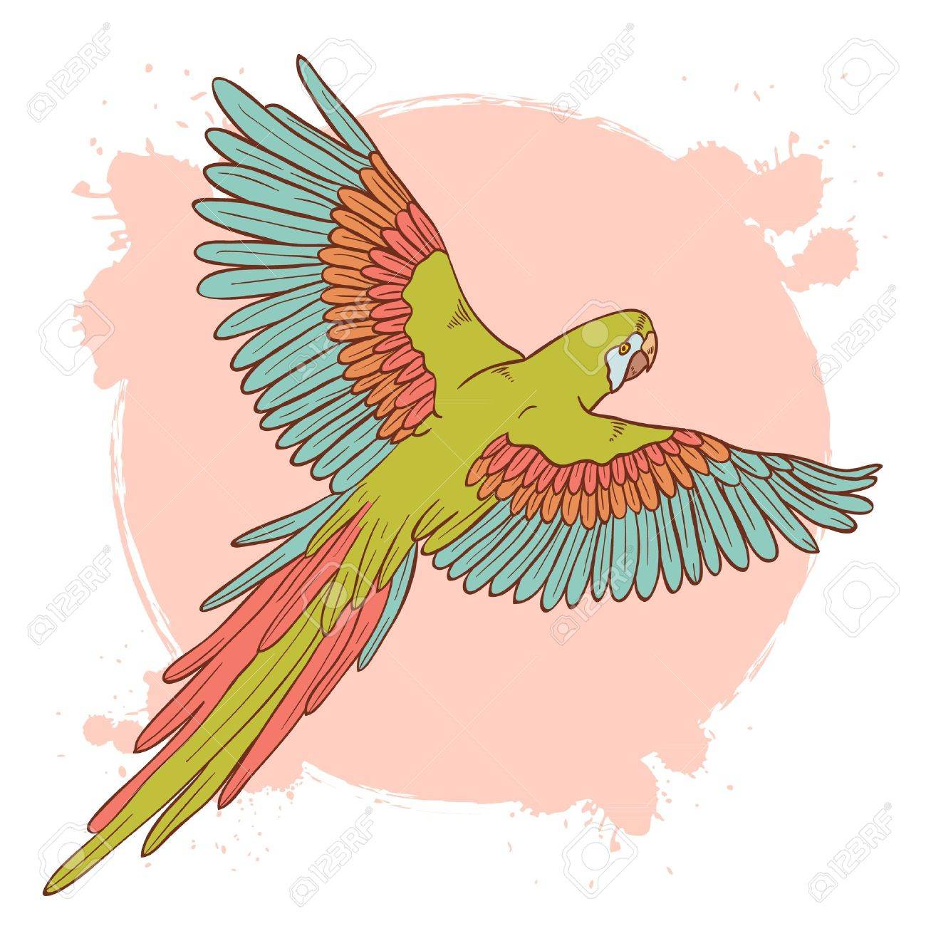 Parrot Flying Drawing at GetDrawings Free download