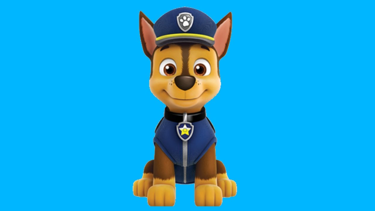 chase paw patrol cartoon drawing