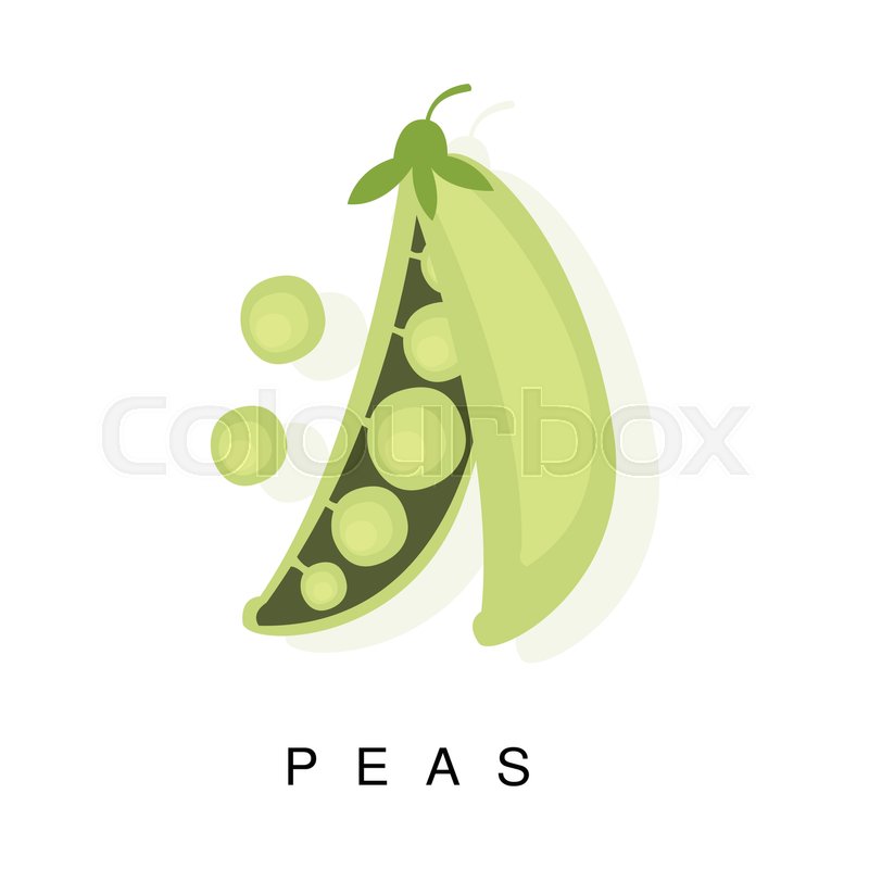 Pea Pod Drawing at GetDrawings Free download