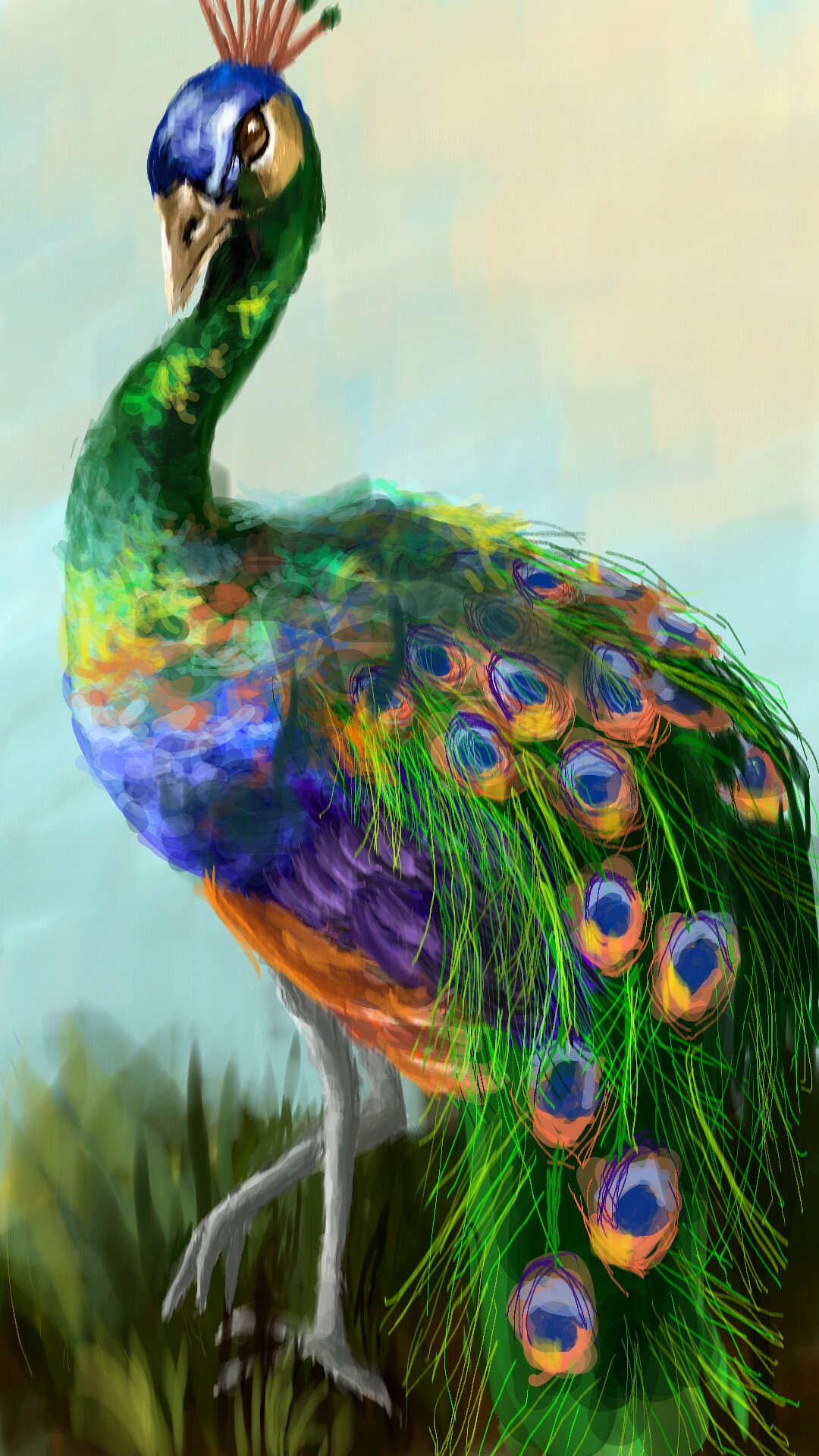 Peacock Drawing at GetDrawings Free download