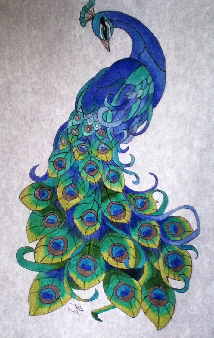 Peacock Images For Drawing at GetDrawings | Free download