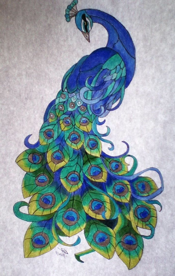 Peacock Images For Drawing at GetDrawings Free download