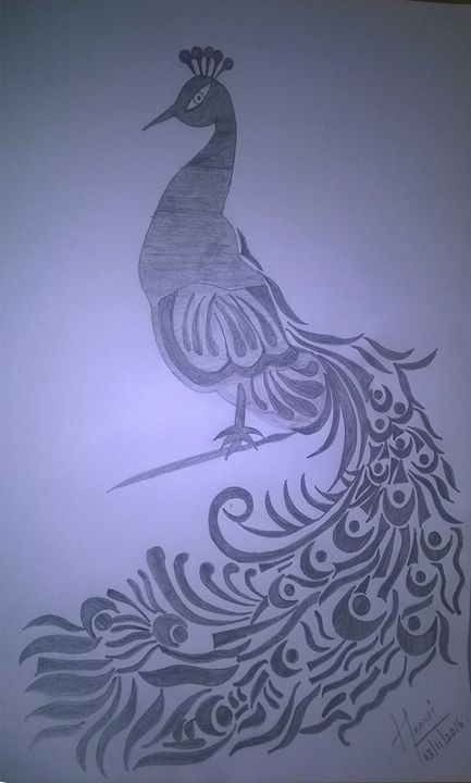 Peacock Pencil Drawing At Getdrawings Free Download