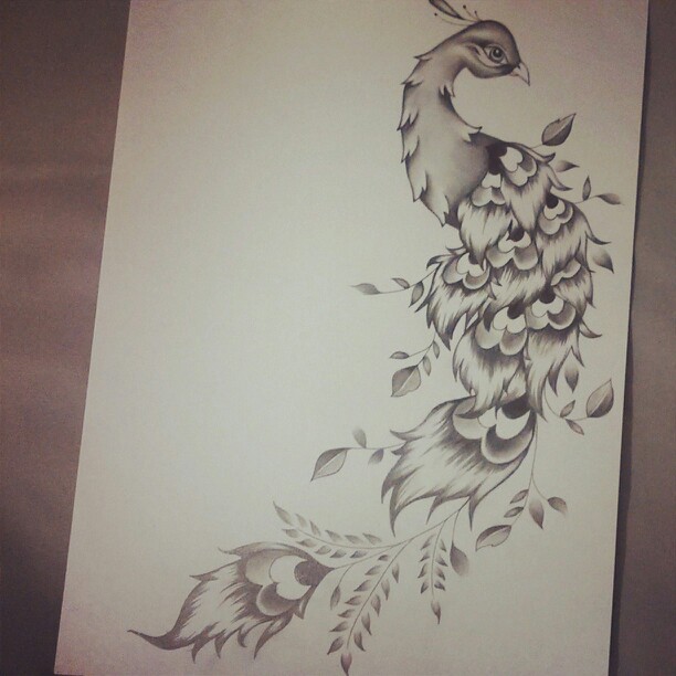 Featured image of post Peacock Design Pencil Drawing : Peacock drawing feather drawing peacock painting peacock art drawing birds peacock design peacock feather tattoo feather art feather tattoos.