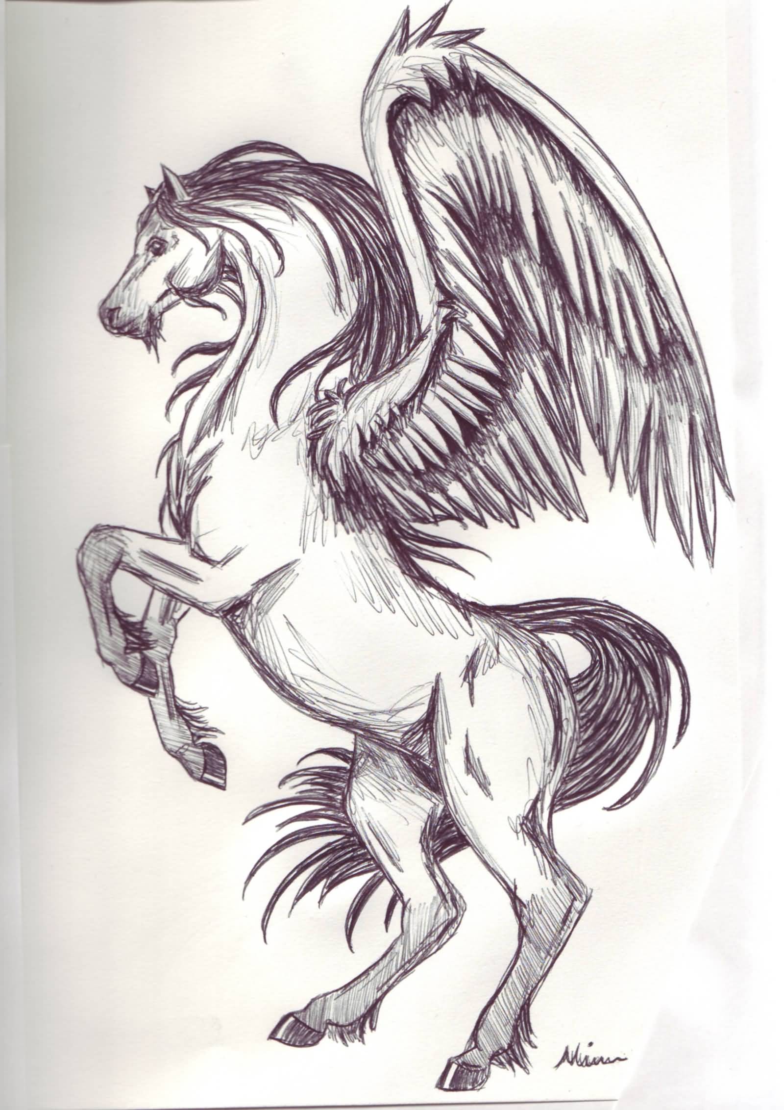 Pegasus Drawing at GetDrawings Free download