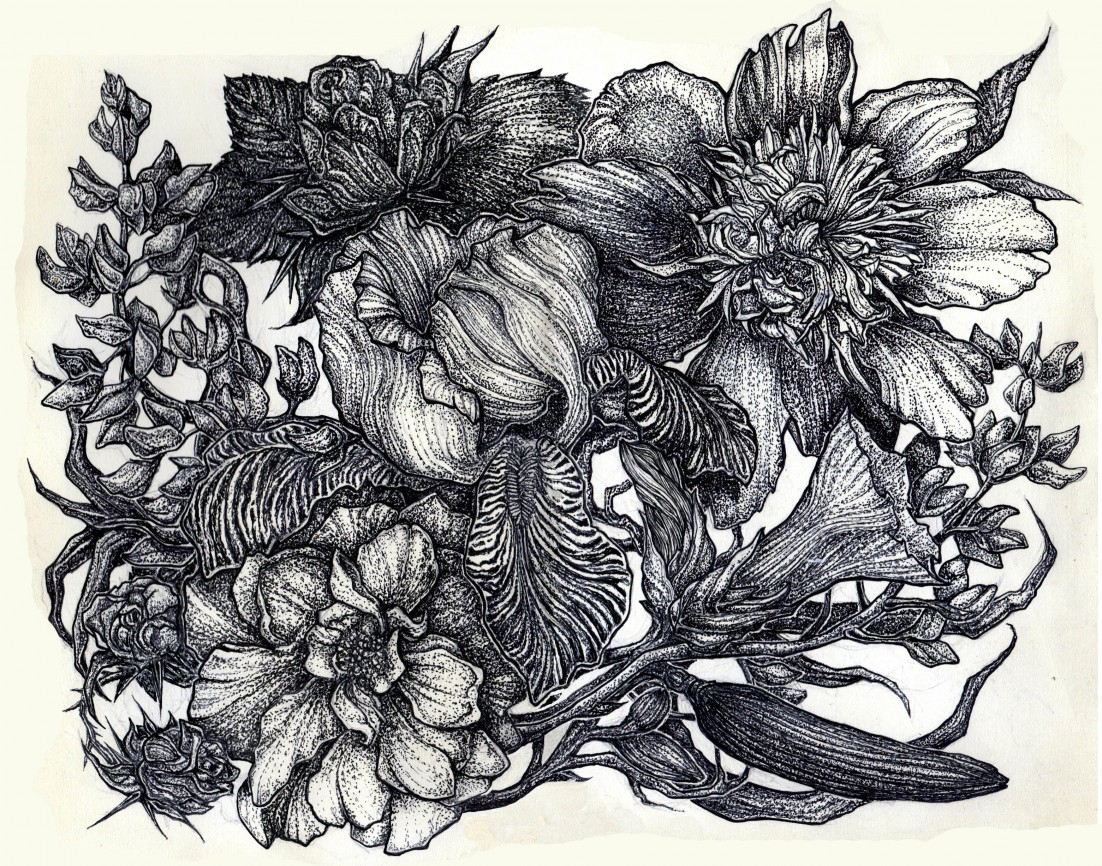 Pen And Ink Flower Drawing at GetDrawings Free download