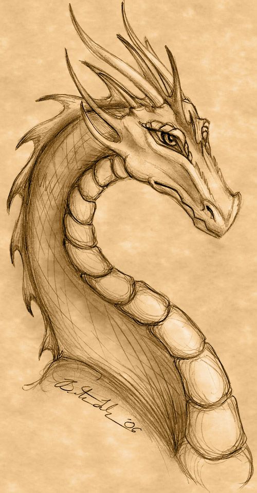 Pencil Drawing Dragons at GetDrawings Free download