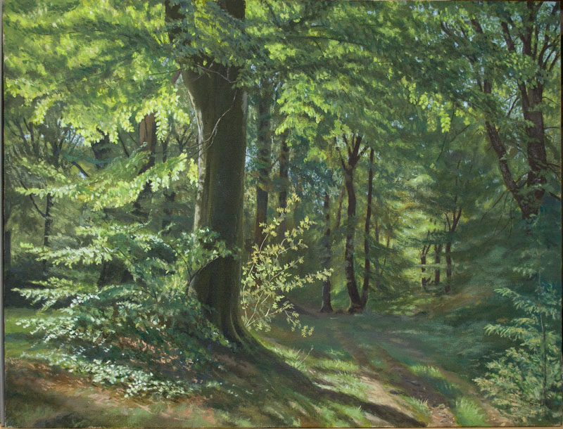 Pencil Drawing Of A Forest at GetDrawings Free download