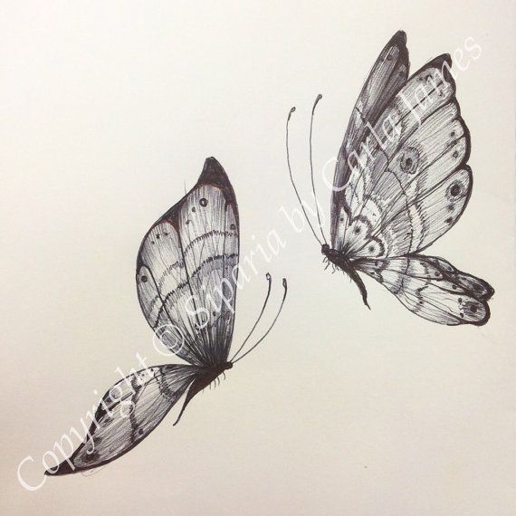 Butterfly Pencil Art