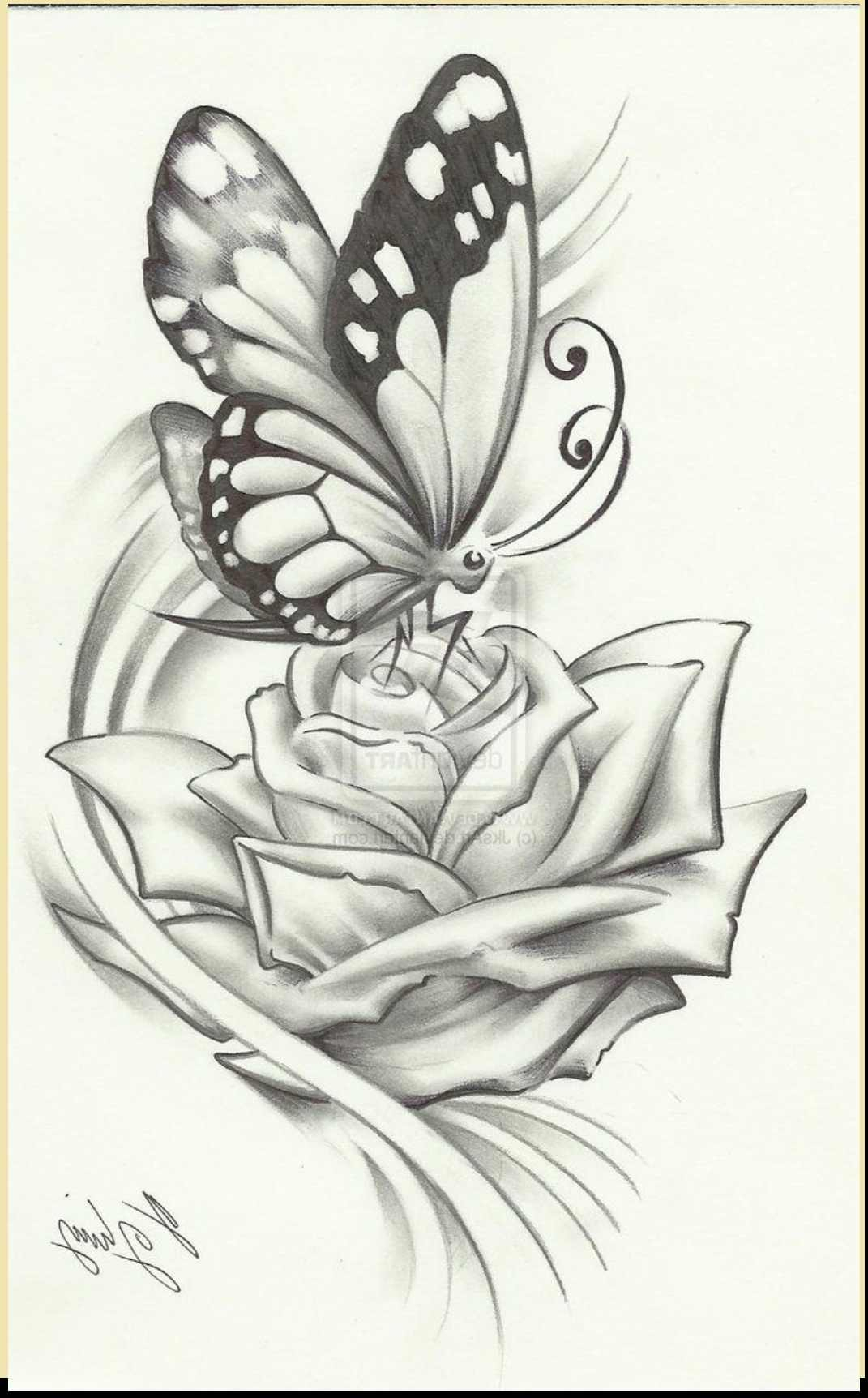 kids butterfly sketch