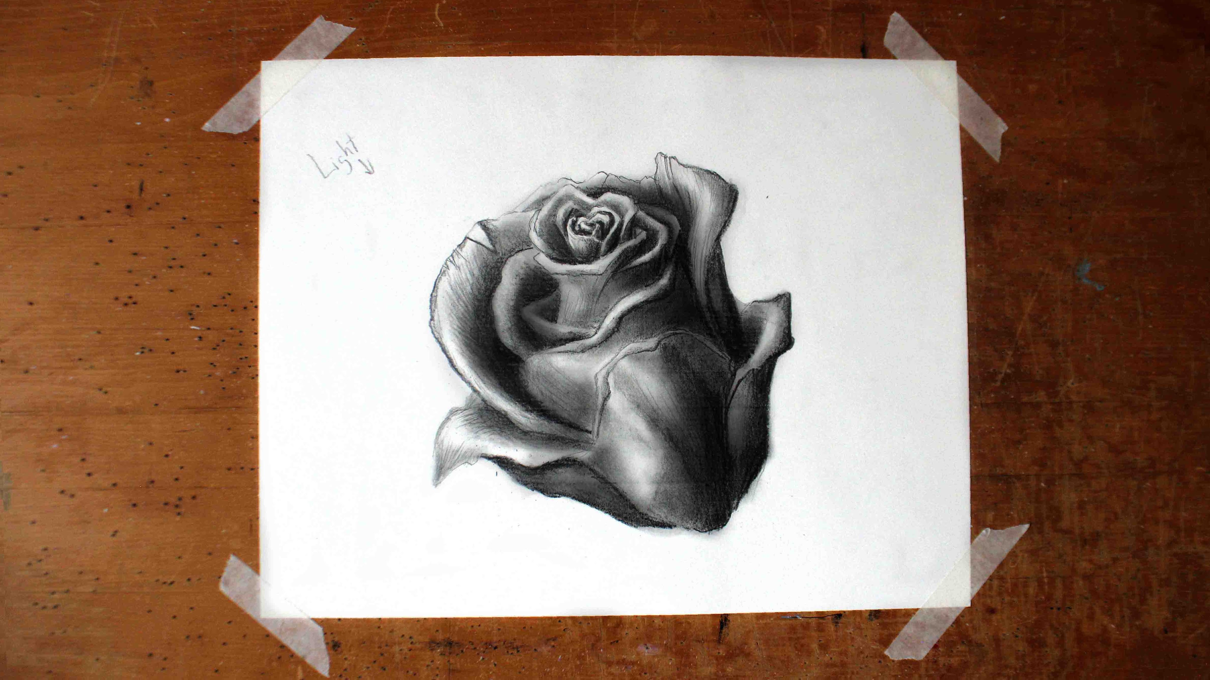 Featured image of post Realistic Rose Pencil Drawing