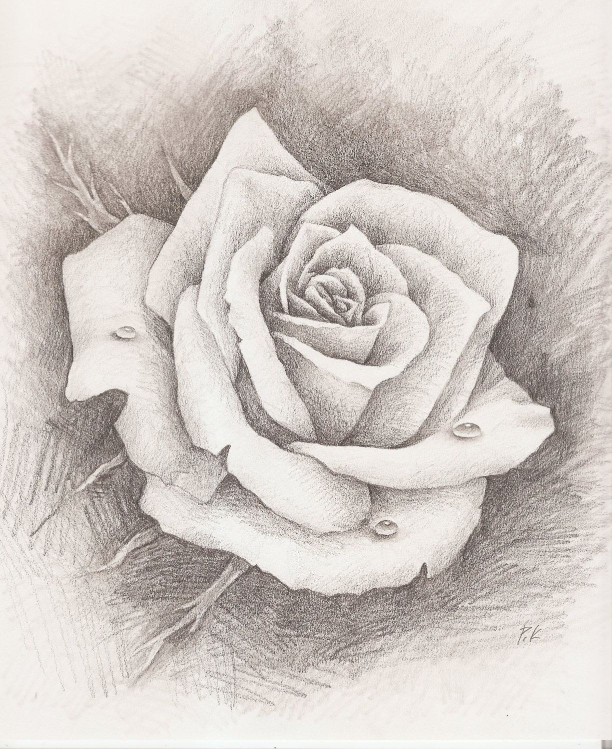 Featured image of post How To Draw A Rose With Pencil Simple