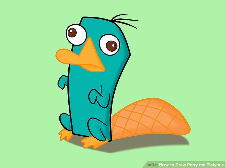 728x546 How To Draw Perry The Platypus (With Pictures) .
