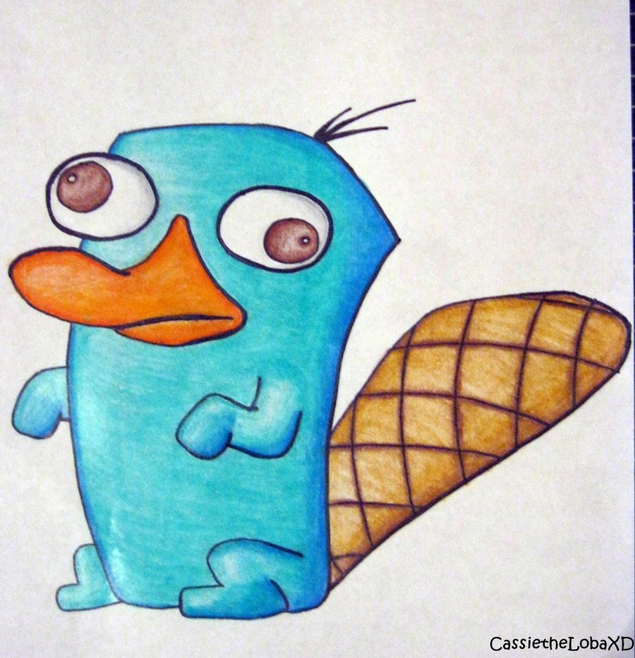 Perry The Platypus Drawing at GetDrawings Free download