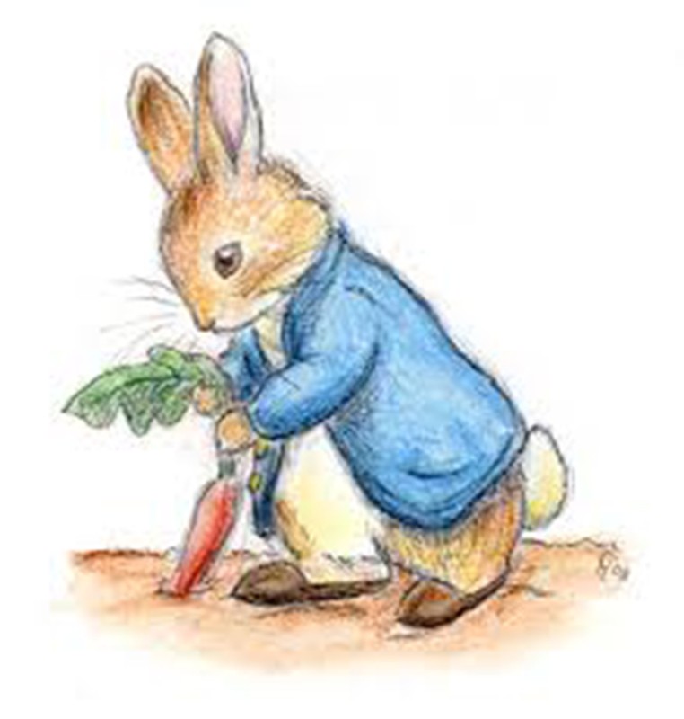 Peter Rabbit Drawing at GetDrawings Free download