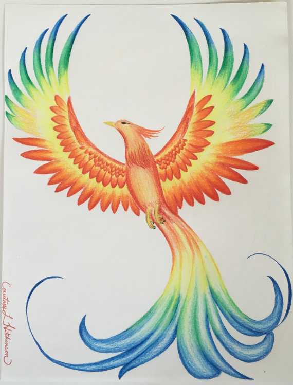 Pheonix Drawing at GetDrawings Free download