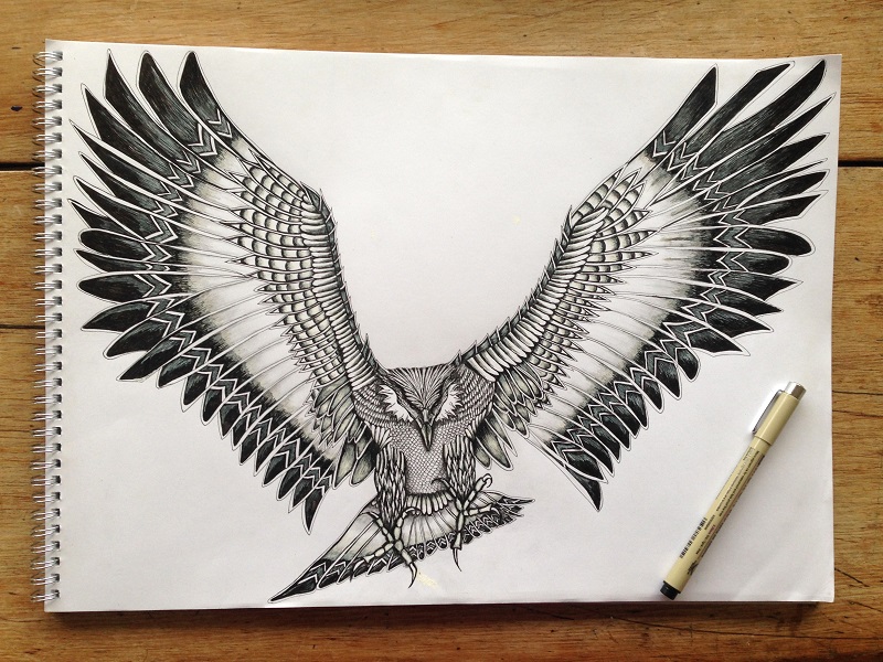 Pencil Philippine Eagle Drawing Easy - Gerencia