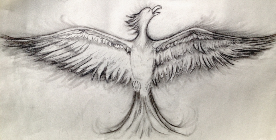 964x489 Realistic Phoenix Bird Drawings.