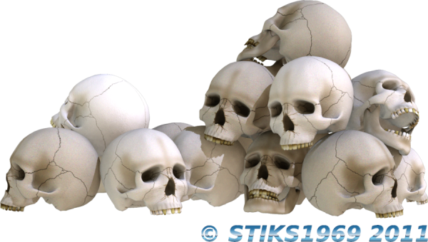 skull and bones png