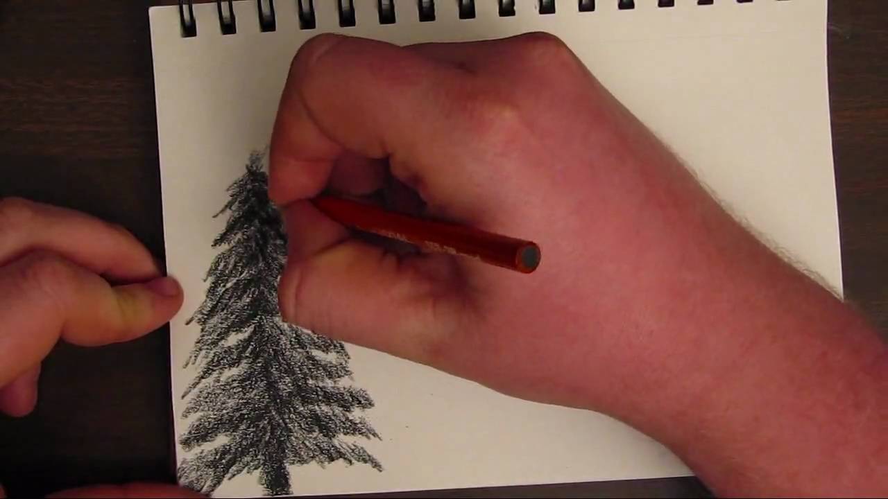 Pine Trees In Pencil Drawing at GetDrawings Free download