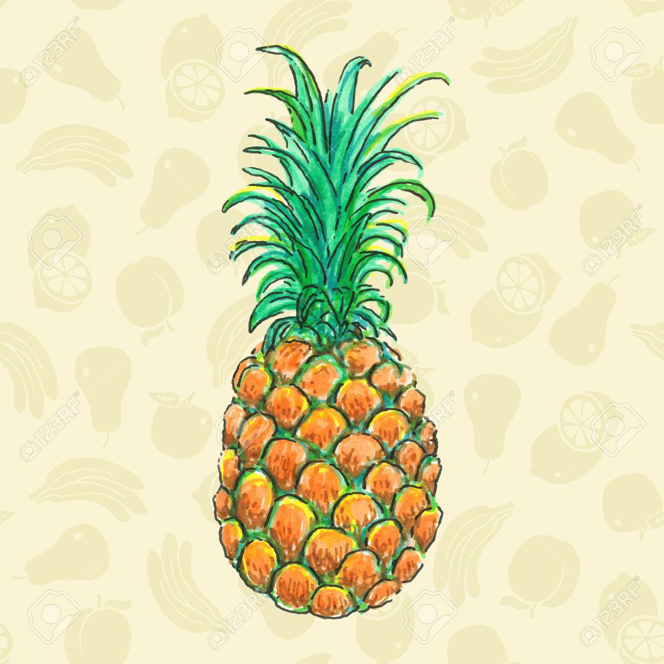 Trends For Realistic Sketch Pineapple Drawing.