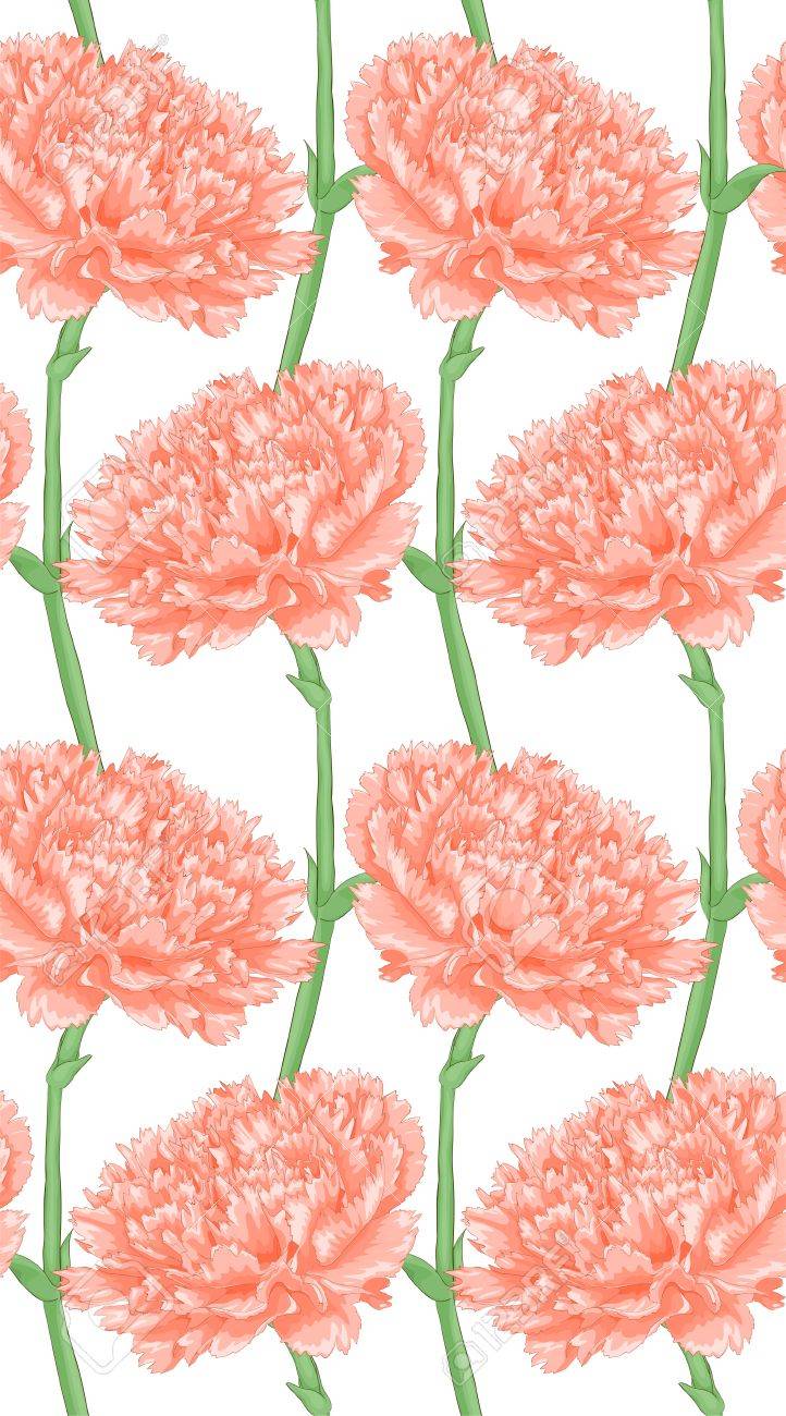 Pink Carnation Drawing at GetDrawings Free download