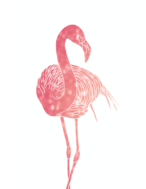 flamingo drawing