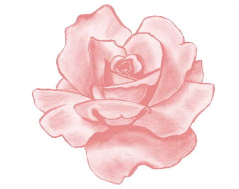 Pink Flower Drawing at GetDrawings | Free download