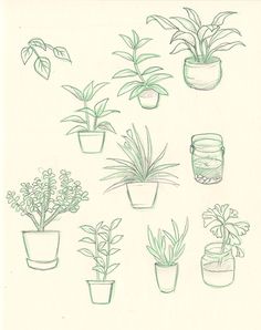 Plants Drawing at GetDrawings | Free download