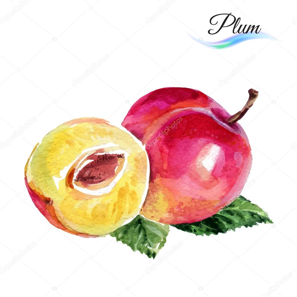 download free italian plums