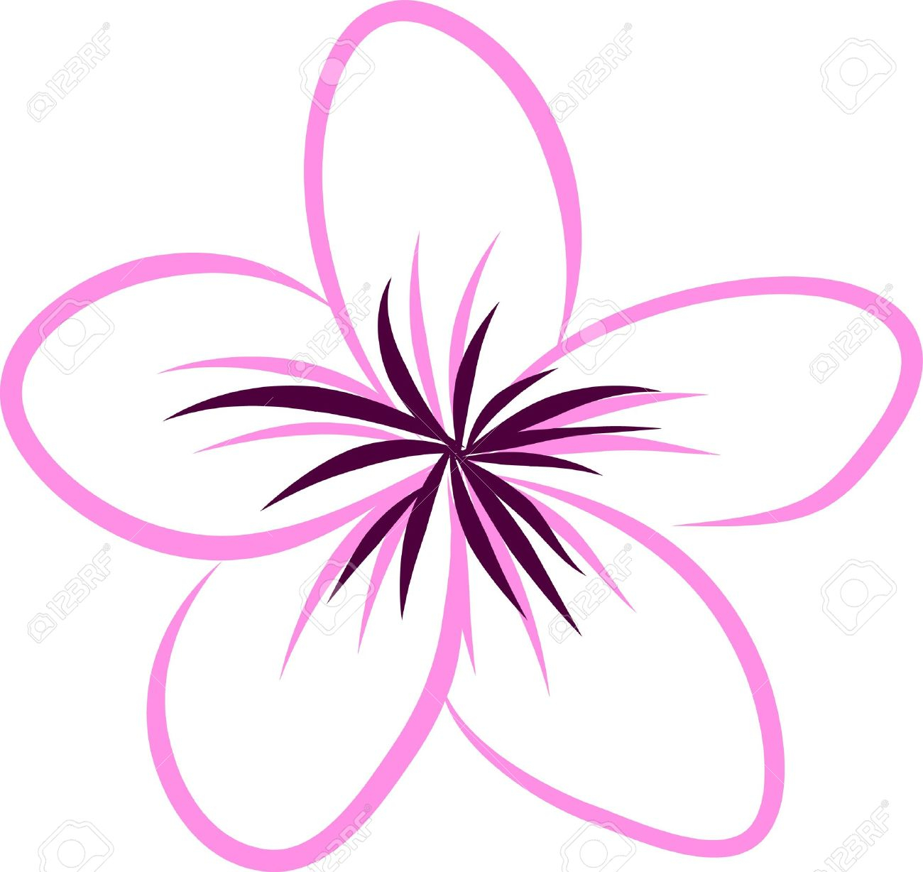 The best free Frangipani drawing images. Download from 47 free drawings