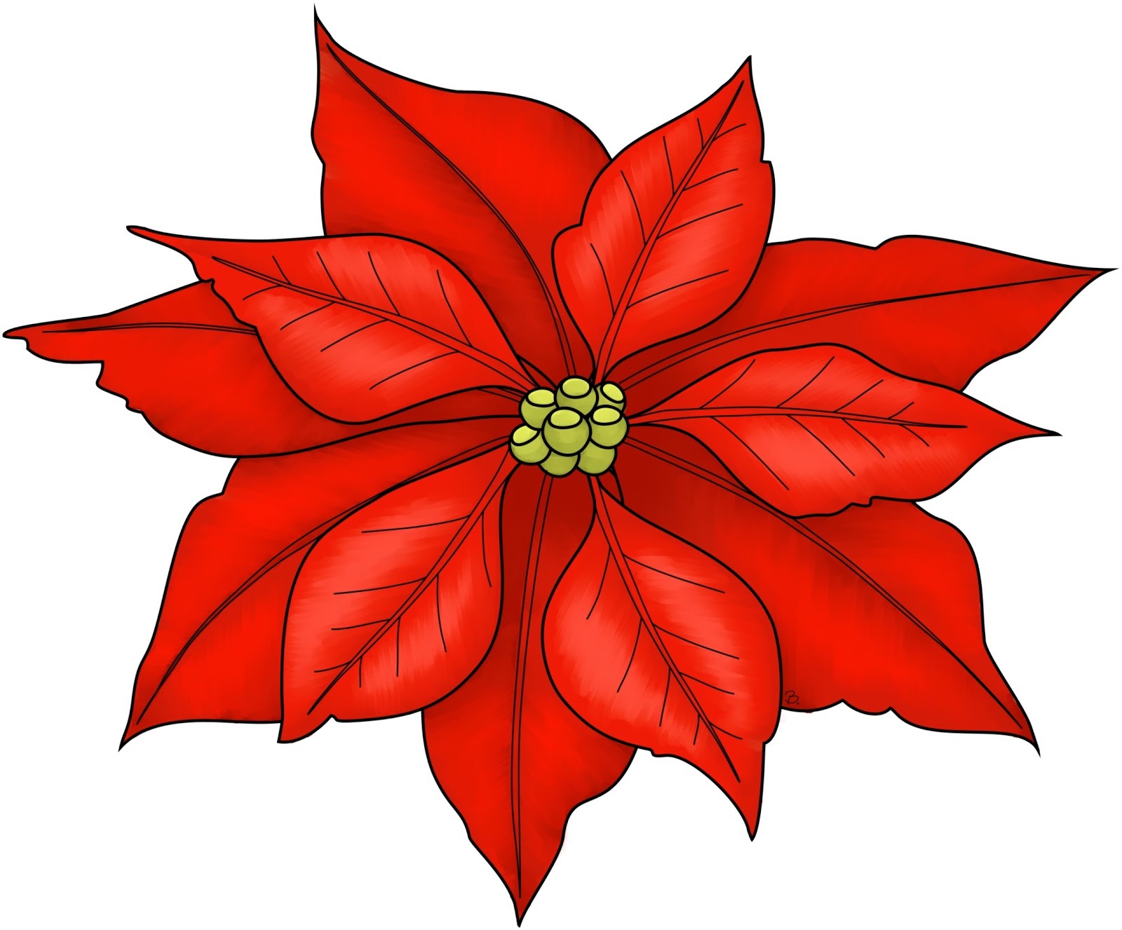 poinsettia-flower-drawing-at-getdrawings-free-download