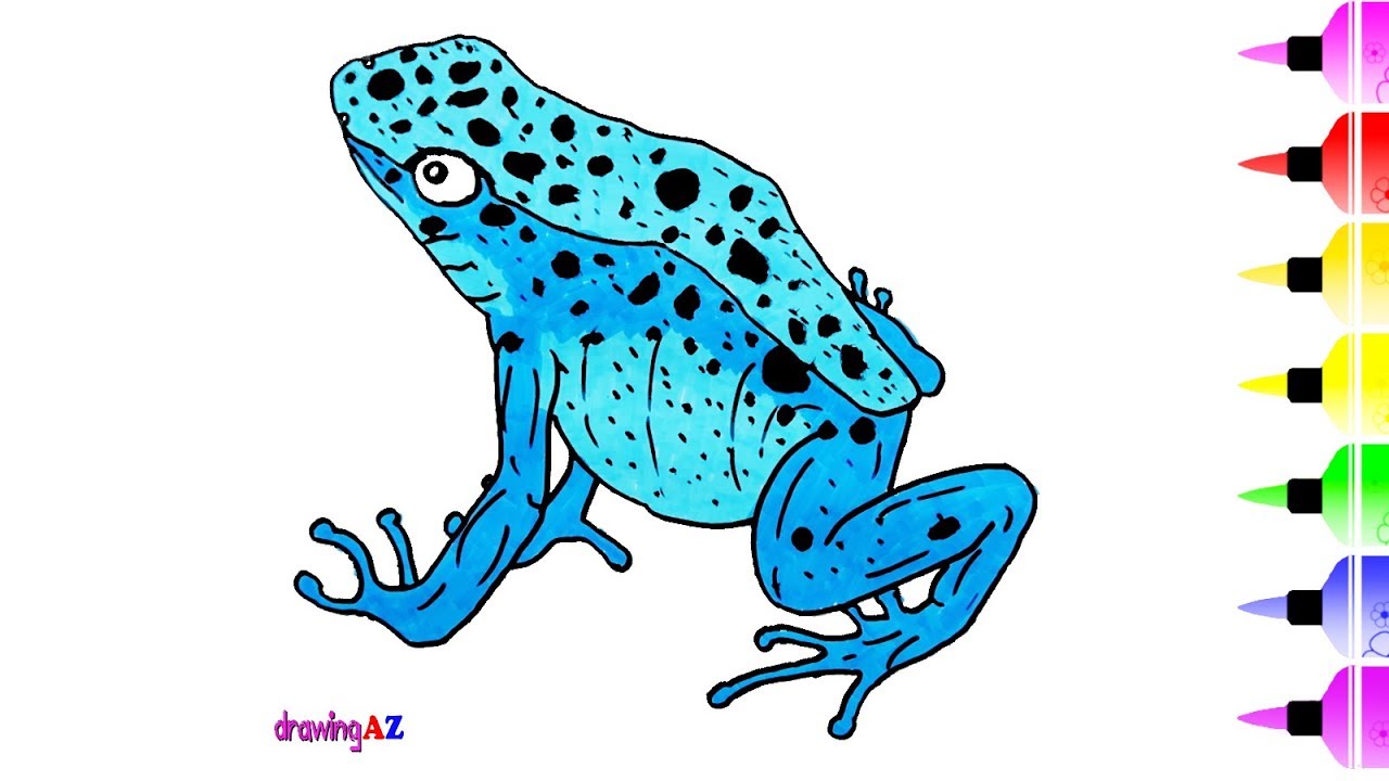 Poison Dart Frog Drawing at GetDrawings Free download