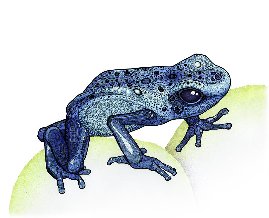 Poison Dart Frog Drawing at GetDrawings Free download