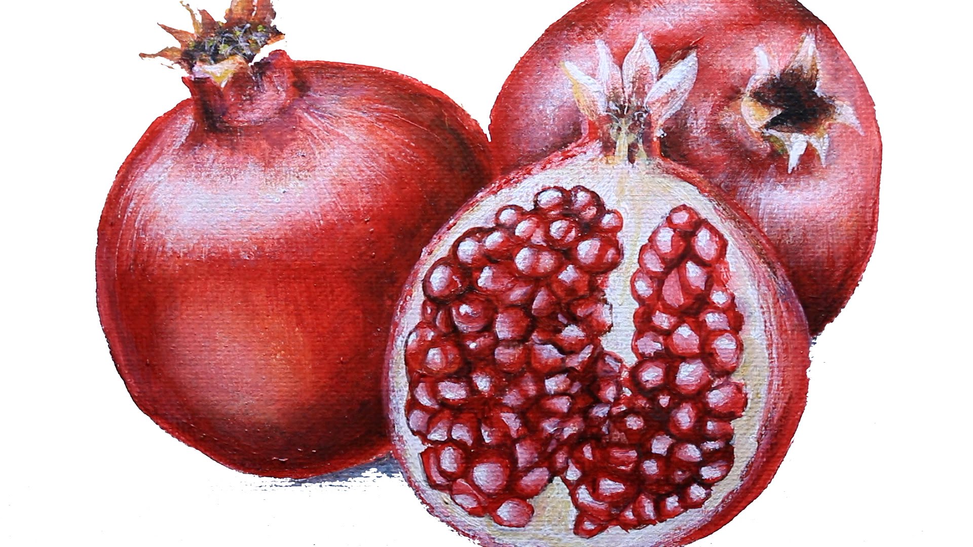 Pomegranate Drawing at GetDrawings Free download