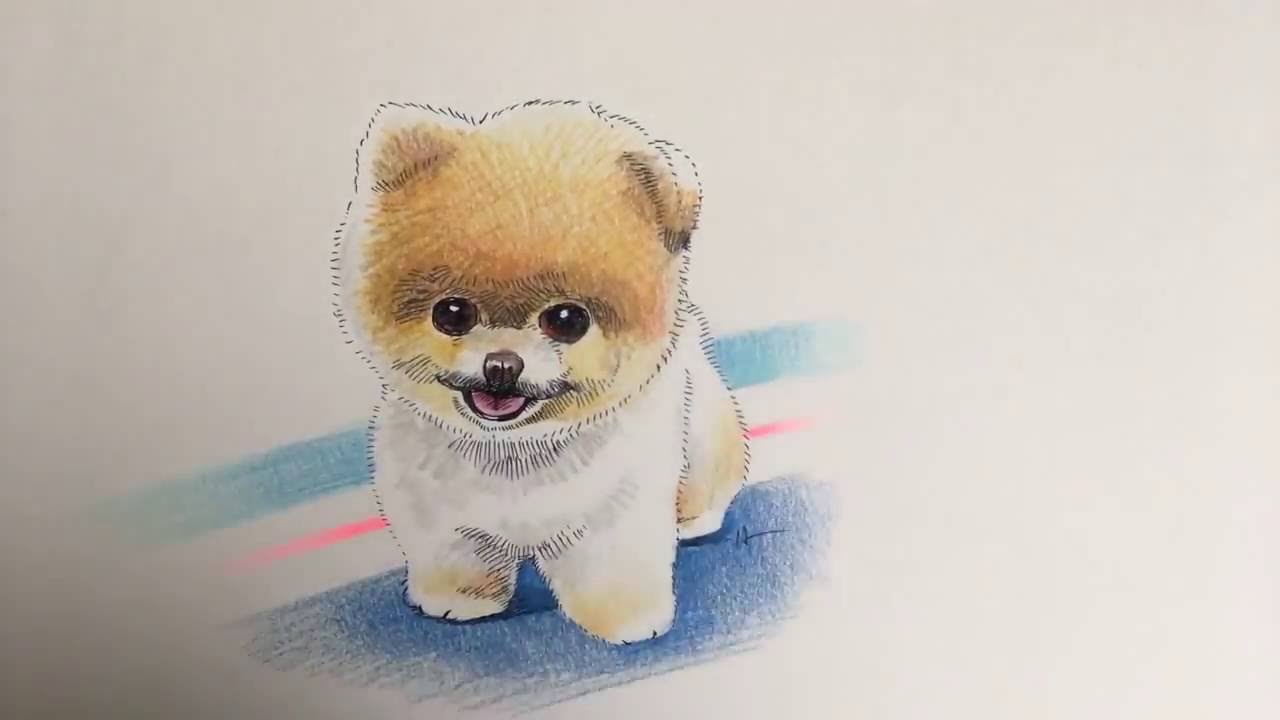 Pomeranian Drawing at GetDrawings Free download