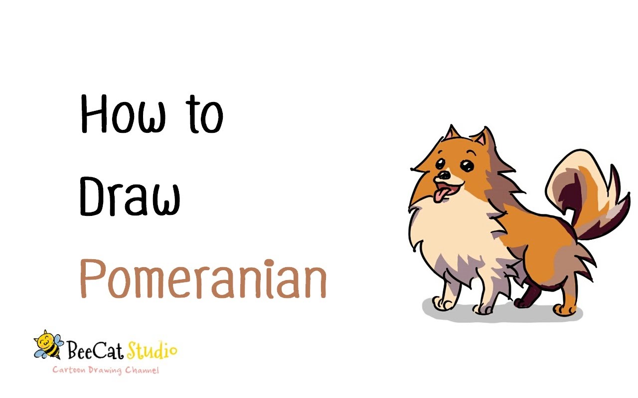 Pomeranian Drawing at GetDrawings | Free download