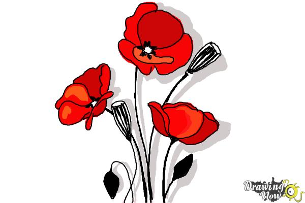 poppies-drawing-at-getdrawings-free-download