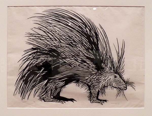 Porcupine Drawing at GetDrawings | Free download