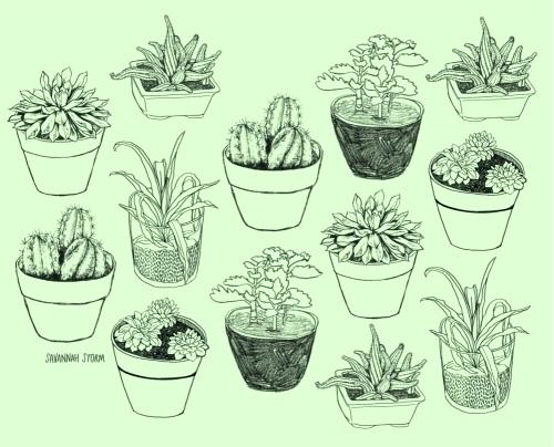 The best free Potted drawing images. Download from 109 free drawings of