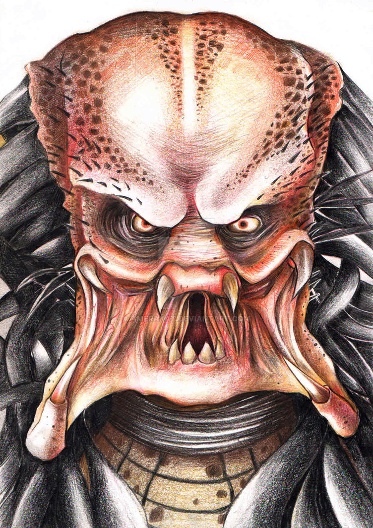 Great How To Draw Predator of all time Learn more here 