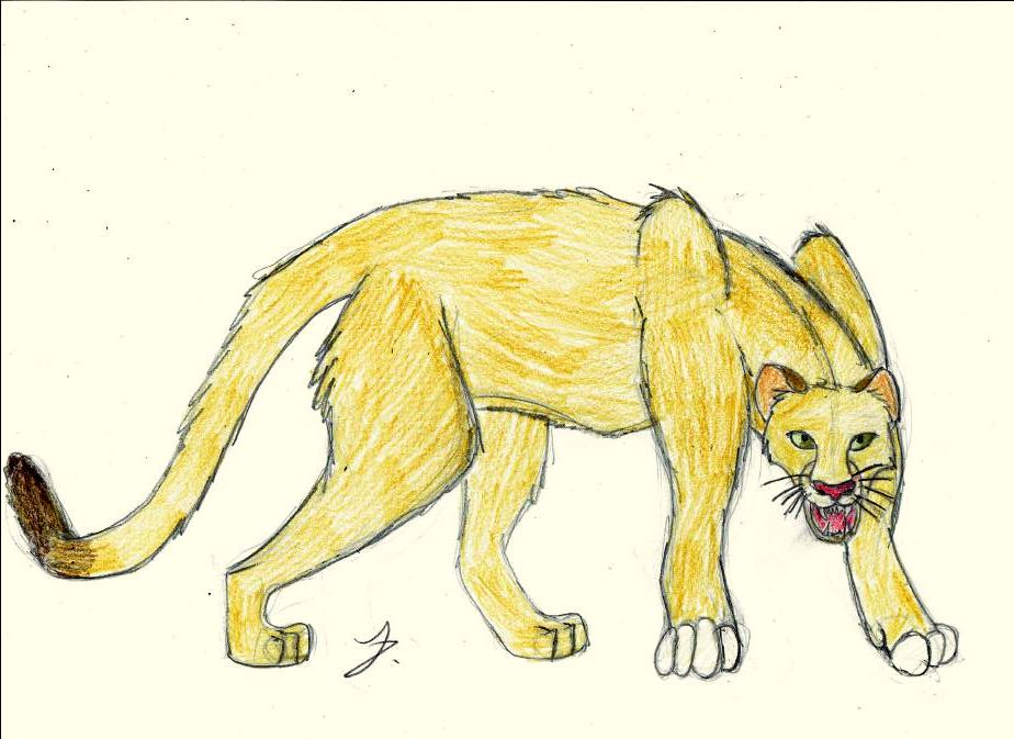 Puma Drawing at GetDrawings | Free download