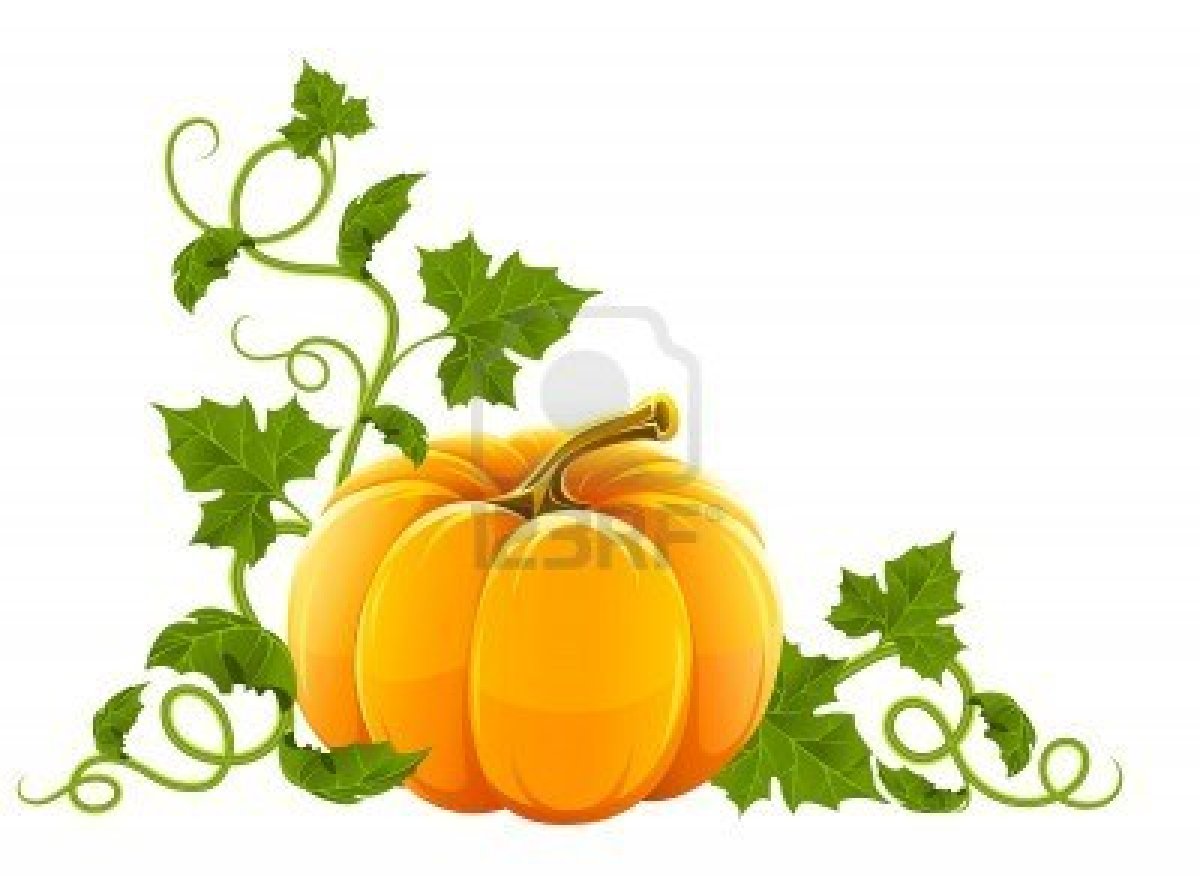 Pumpkin Leaf Drawing at GetDrawings Free download