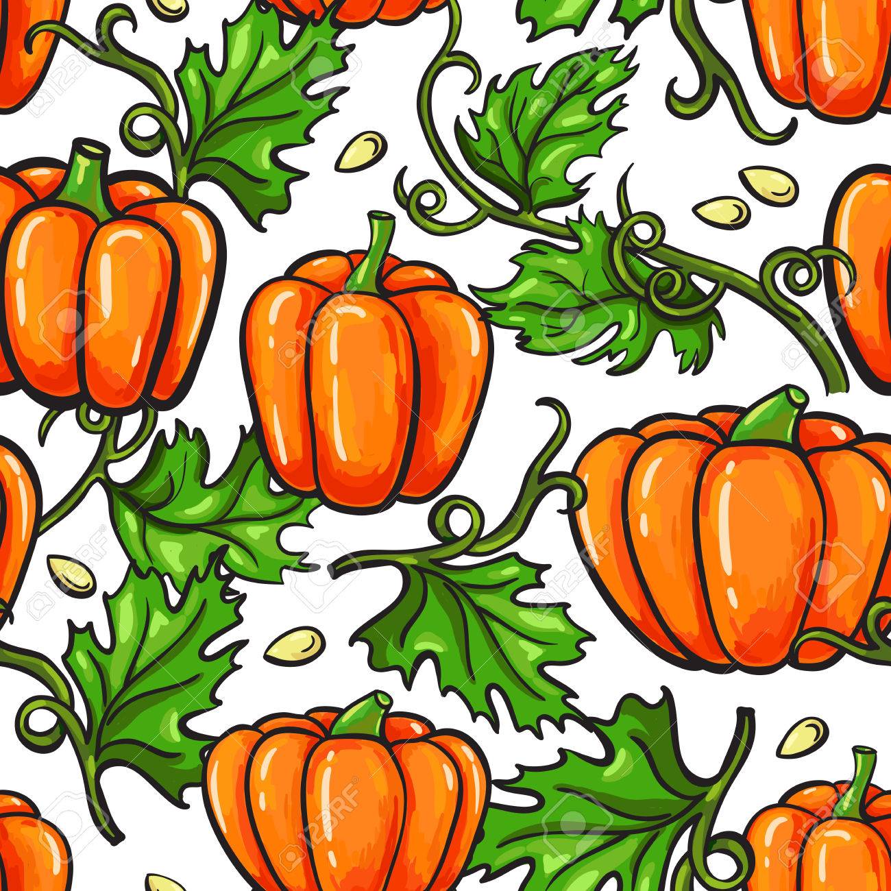 Pumpkin Plant Drawing at GetDrawings Free download