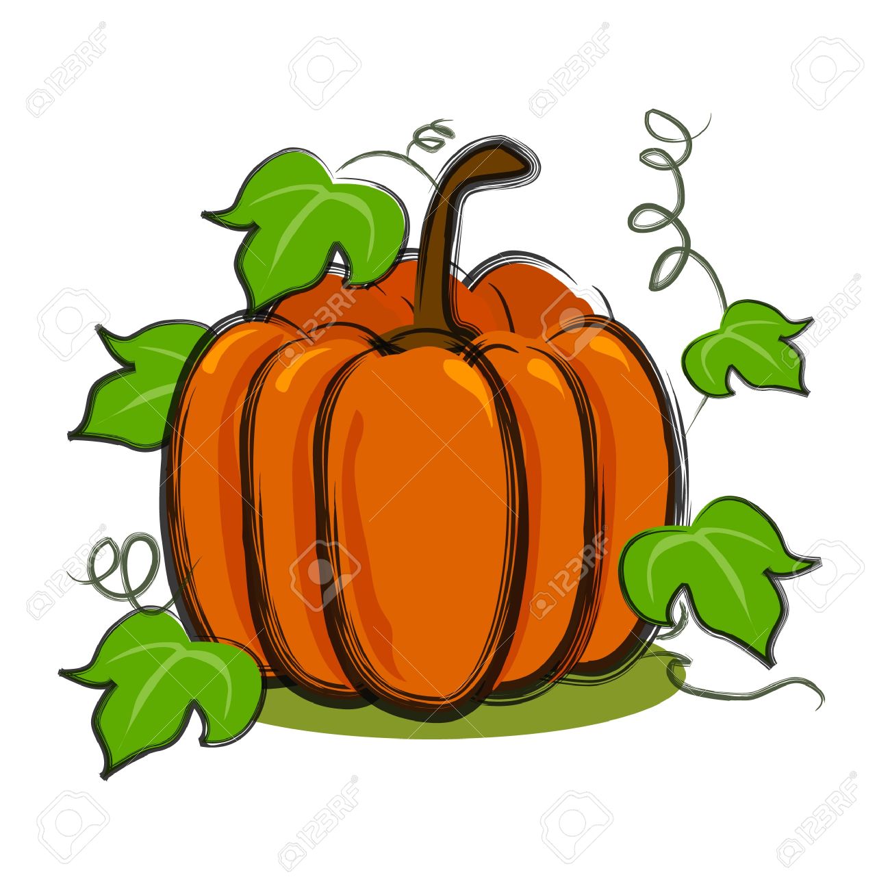 Pumpkin Vine Drawing at GetDrawings Free download